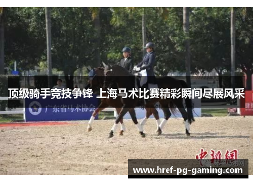 顶级骑手竞技争锋 上海马术比赛精彩瞬间尽展风采